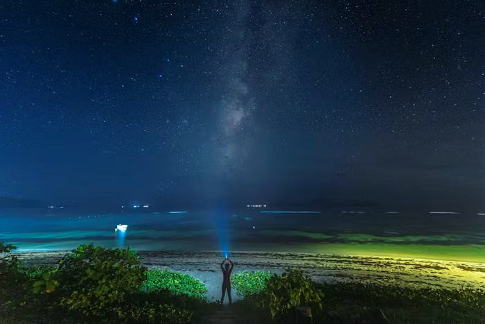 Stargazing on Whidbey Island: Best Dark-Sky Spots by the Beach
