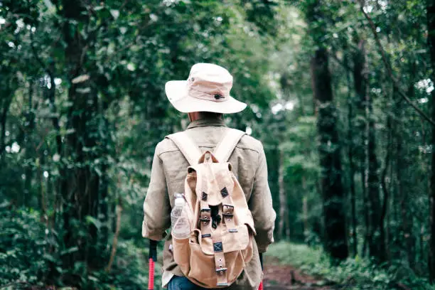 A Guide to South Whidbey State Park: Hiking, Tides & Old-Growth Trees
